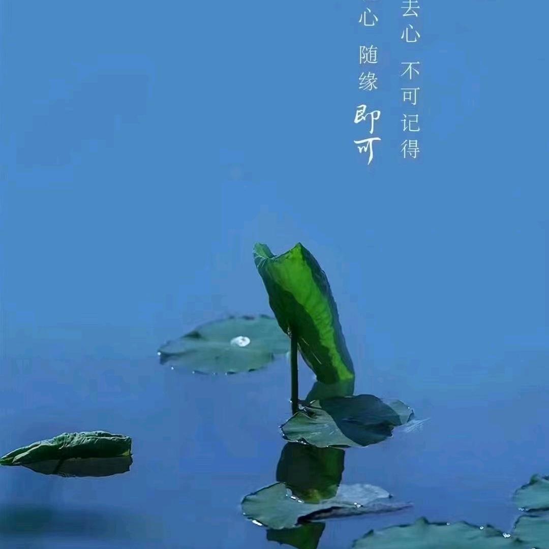 手机用户82674416451