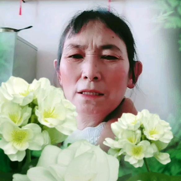 用户7349741901749