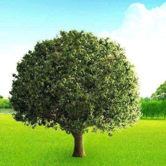 做自己•小马老师