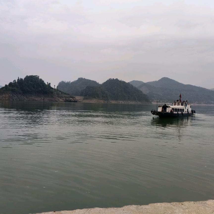 流浪的人爱音乐