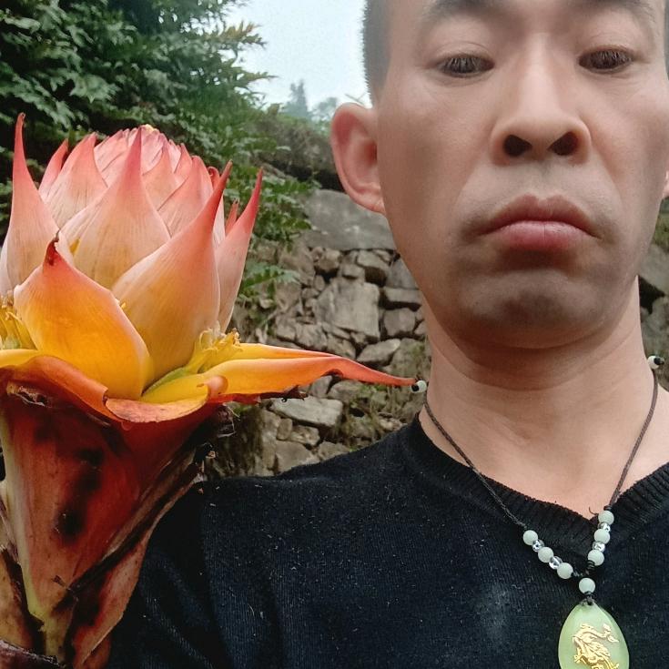 东山再起