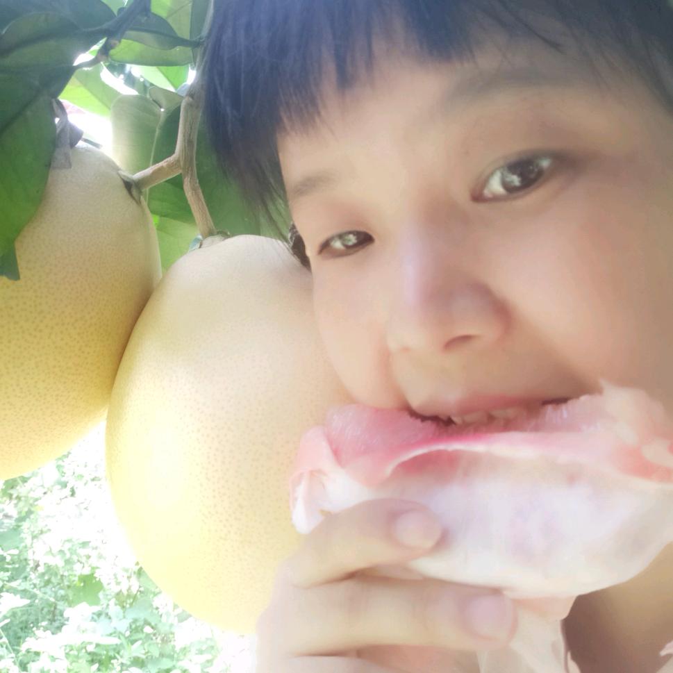 平淡是真