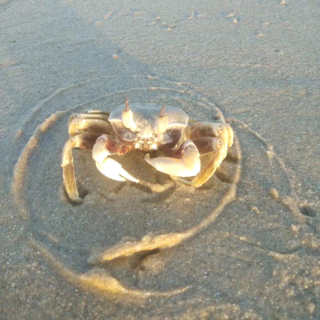 永难沉沦之劫
