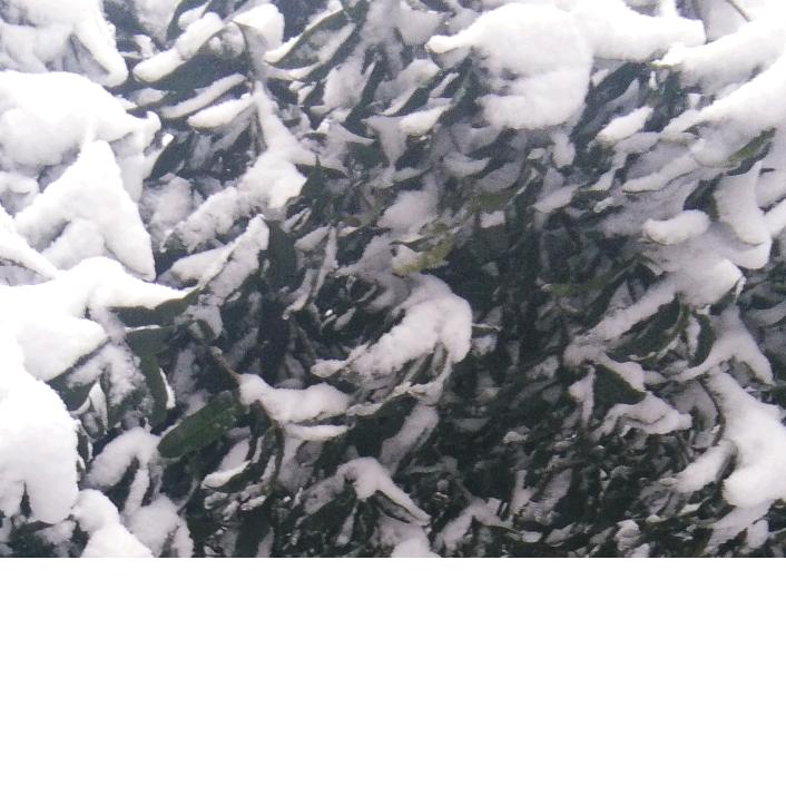 踩着二八大杠去搬砖