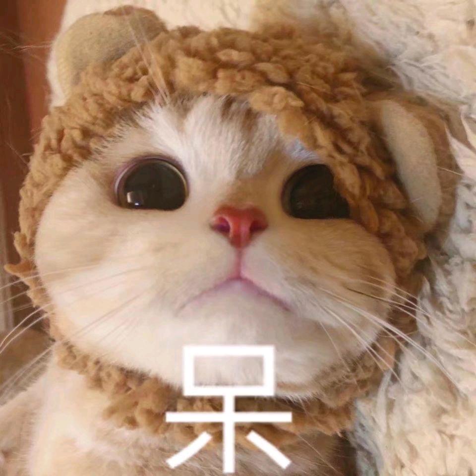 养条猫猫虫头像