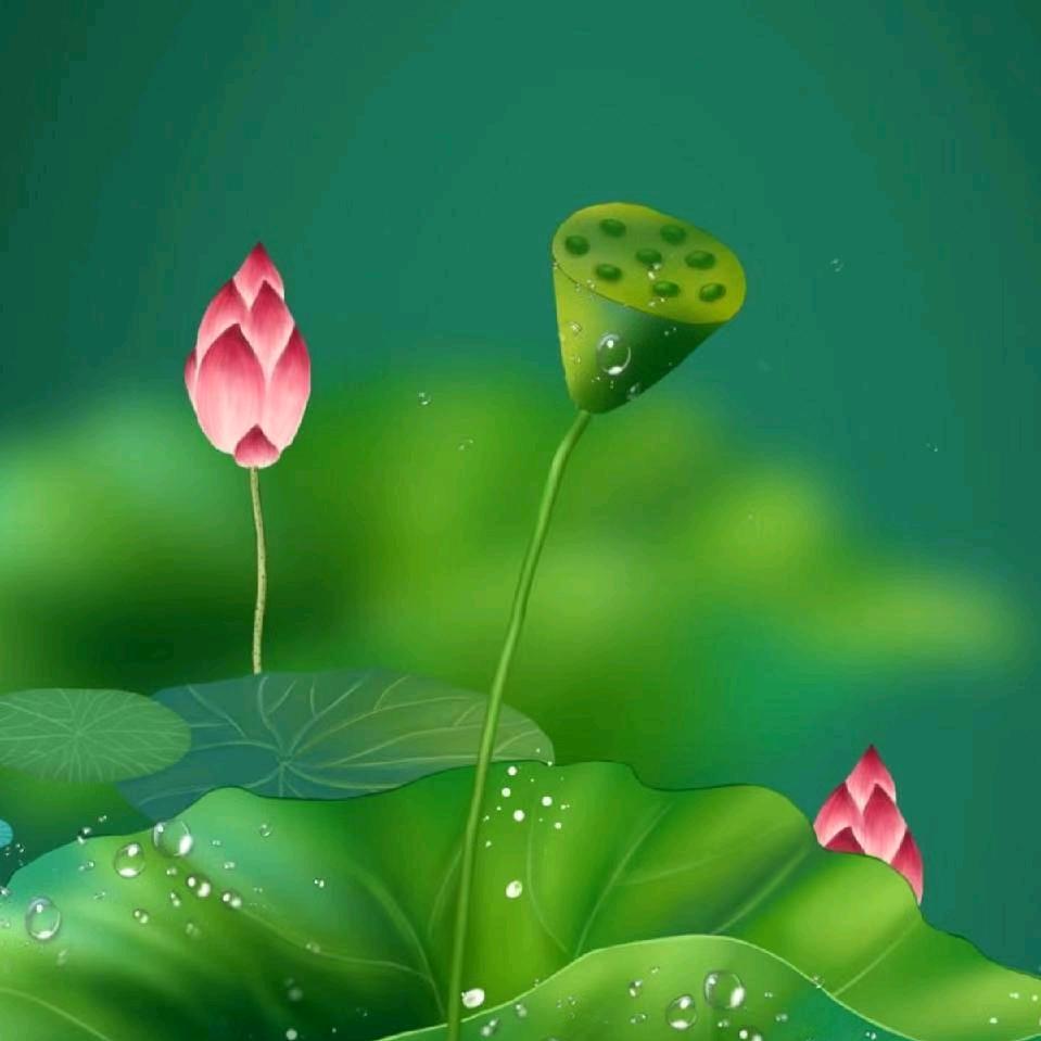 L知足常乐，