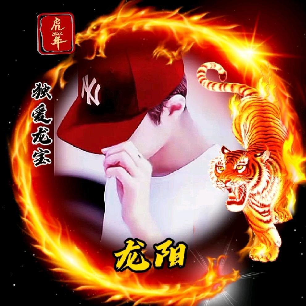 龙哥