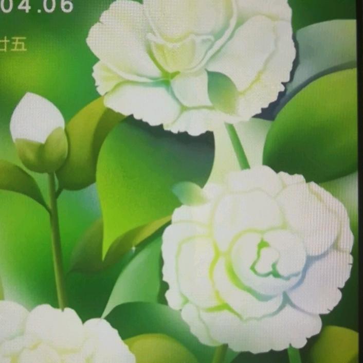 可爱星球