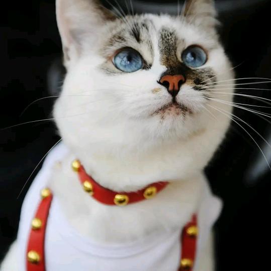 空空星20130322天