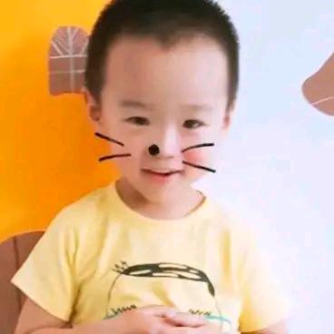 叶子网红炒鸡架