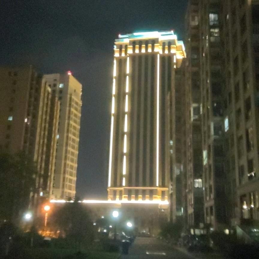 兔丁