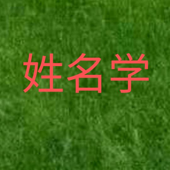 亚林手写