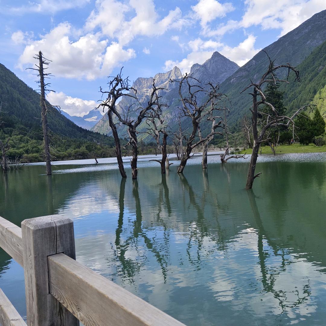 用户1743043610352@紫罗兰