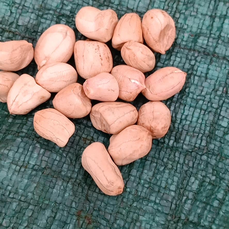 规矩做人，正经经商