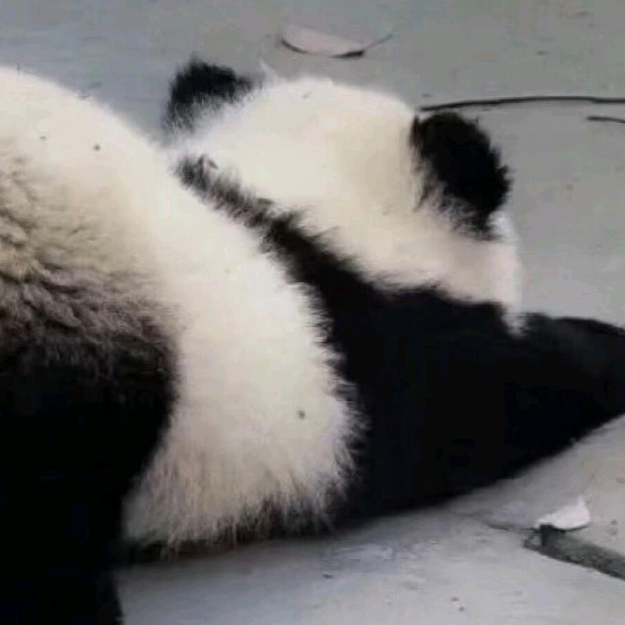 抬头纹儿童