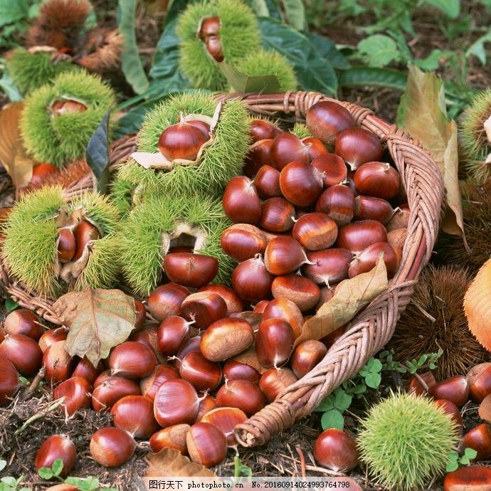 栗子🌰