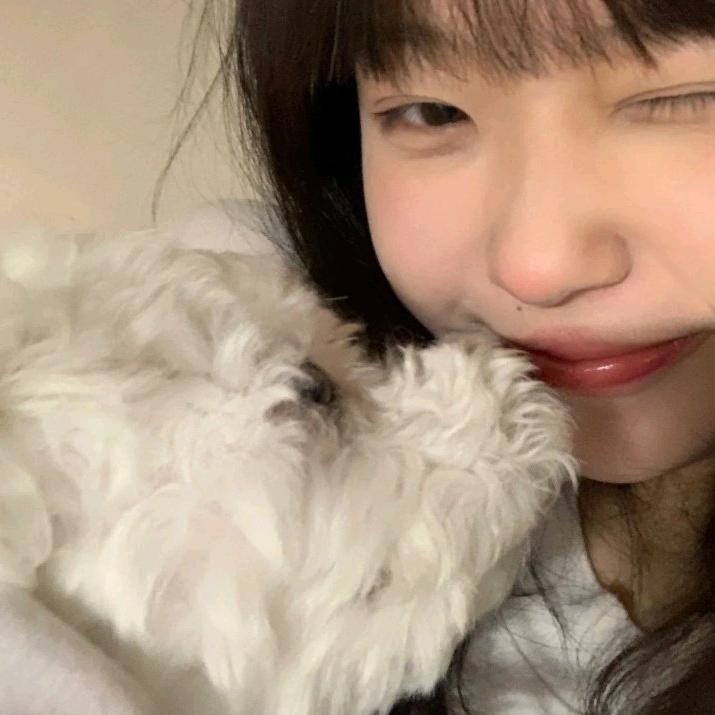古德猫宁