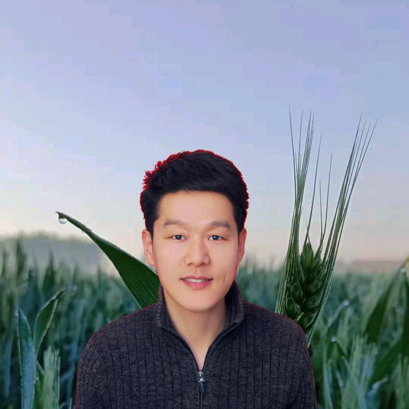 绿威特生物工程--大鹏（商品在首页橱窗）