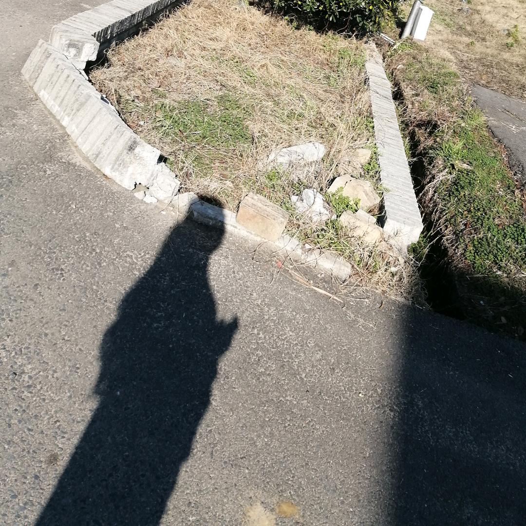 倪头像