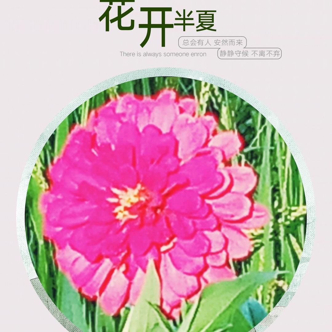 一琳团购