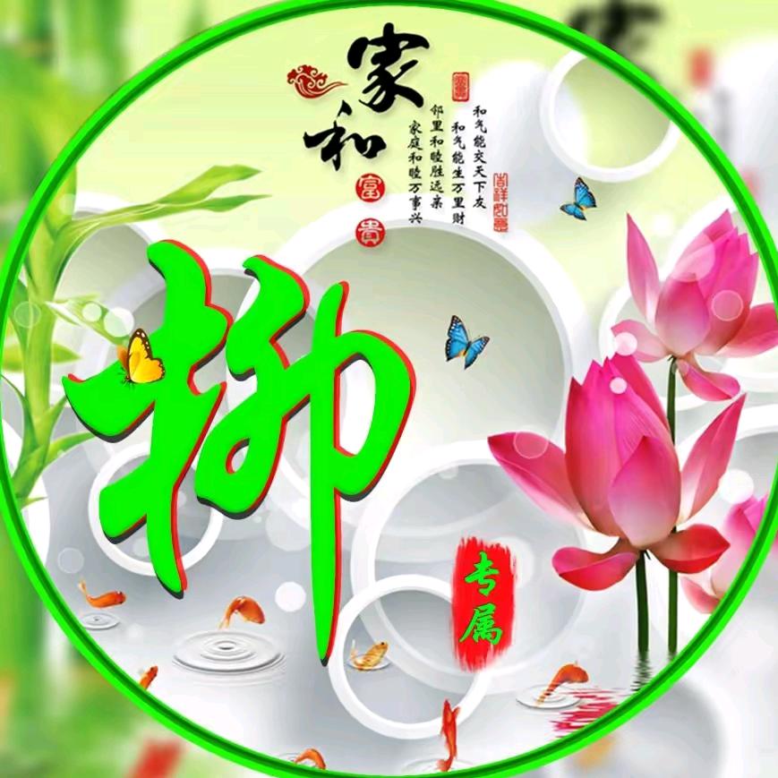 柳斌