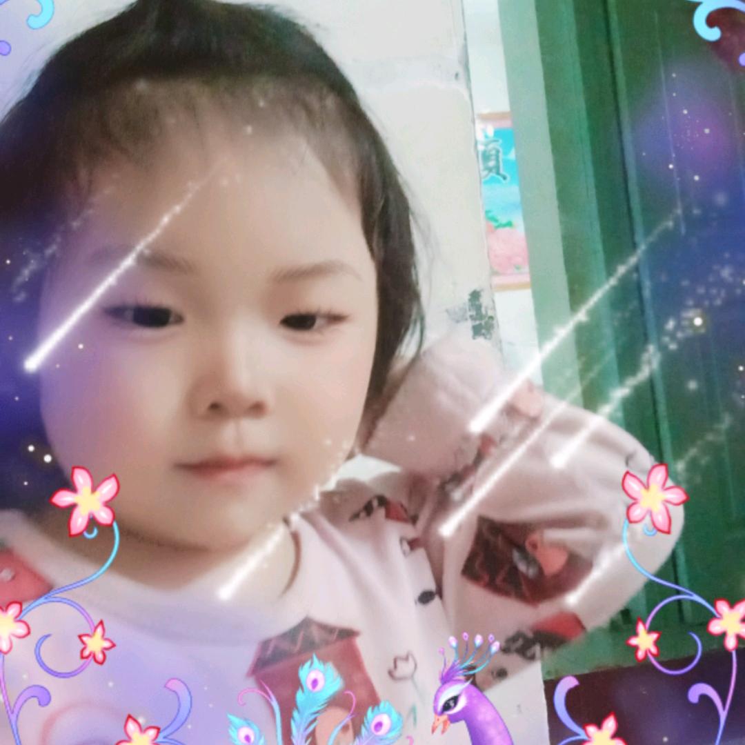 ☀️金太阳☀️