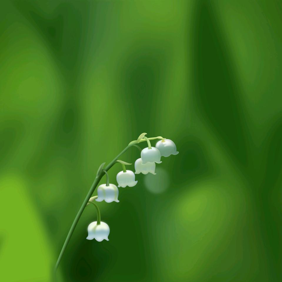 春华秋实5
