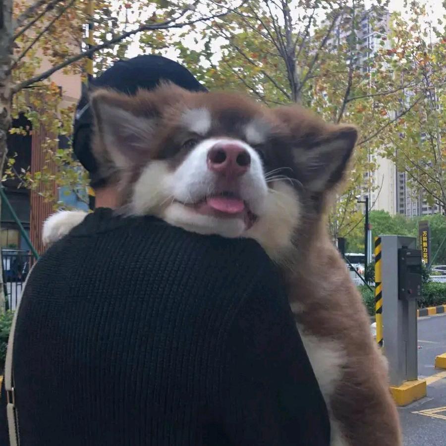 遇事不决小柴胡