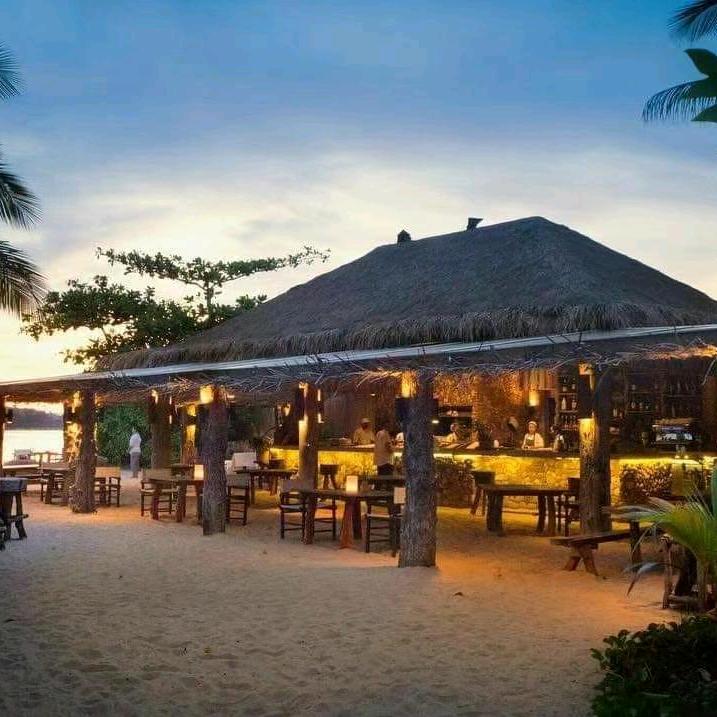 橘子姐姐🍊🍊🍊🍊🍊🍊🍊?