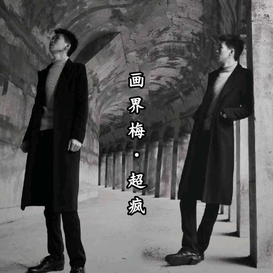 画界梅·超疯-国画梅花