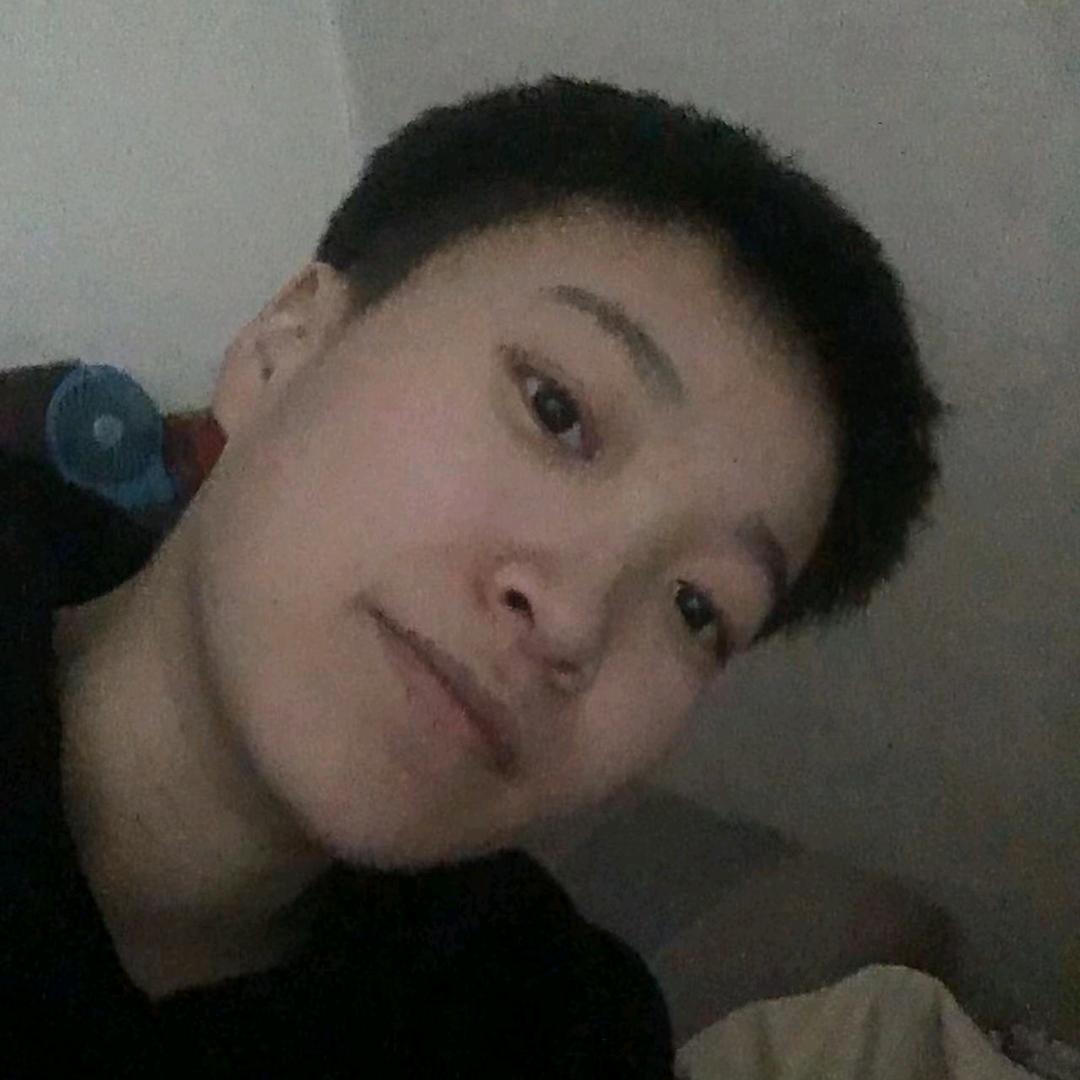 皮鞋狗
