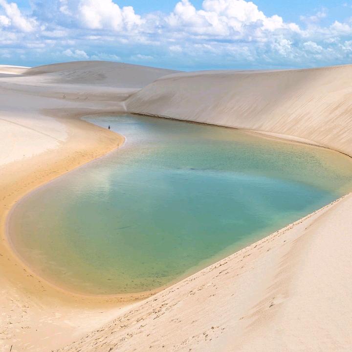 桐宇的优选好物
