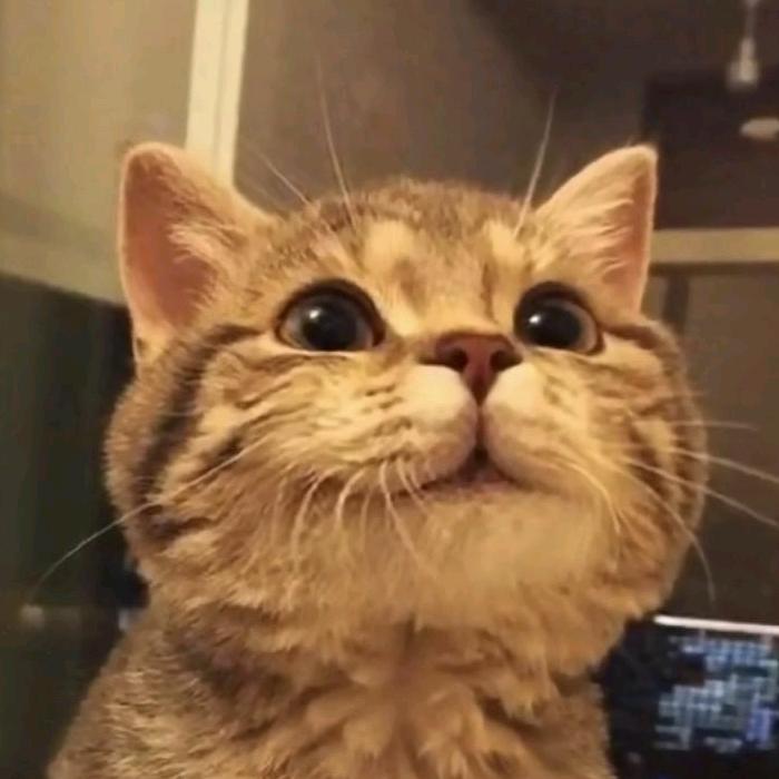 那美克