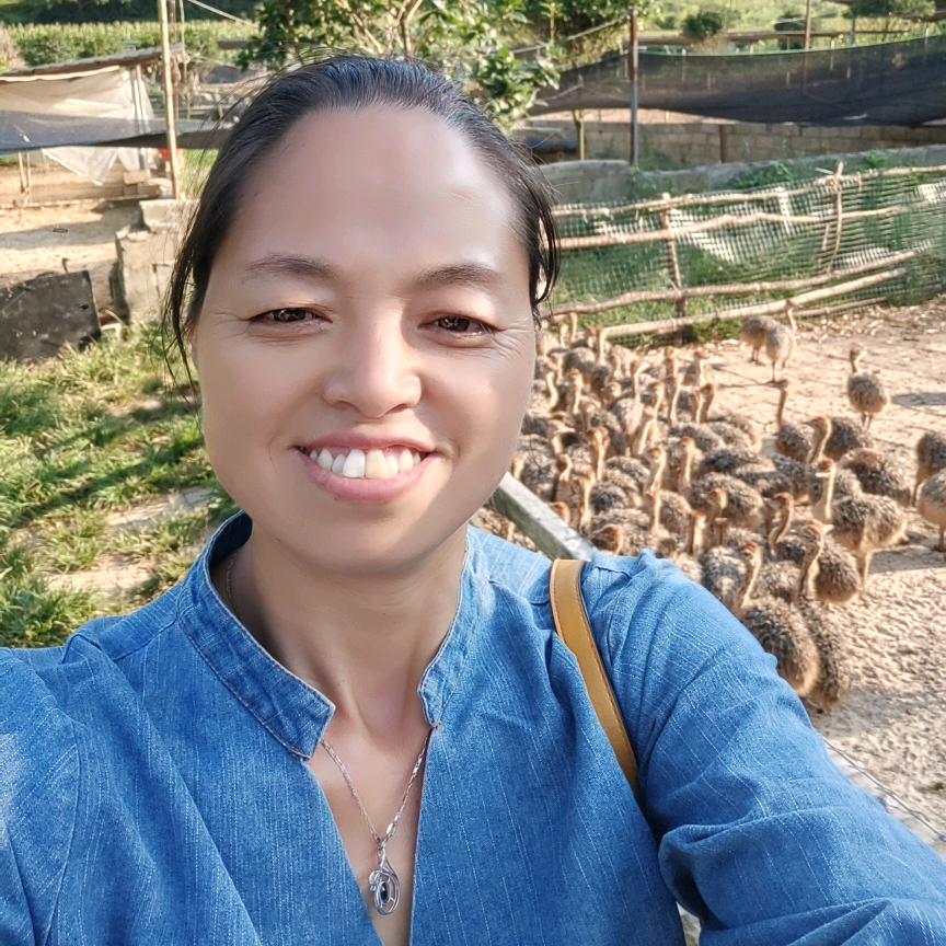 周治琴