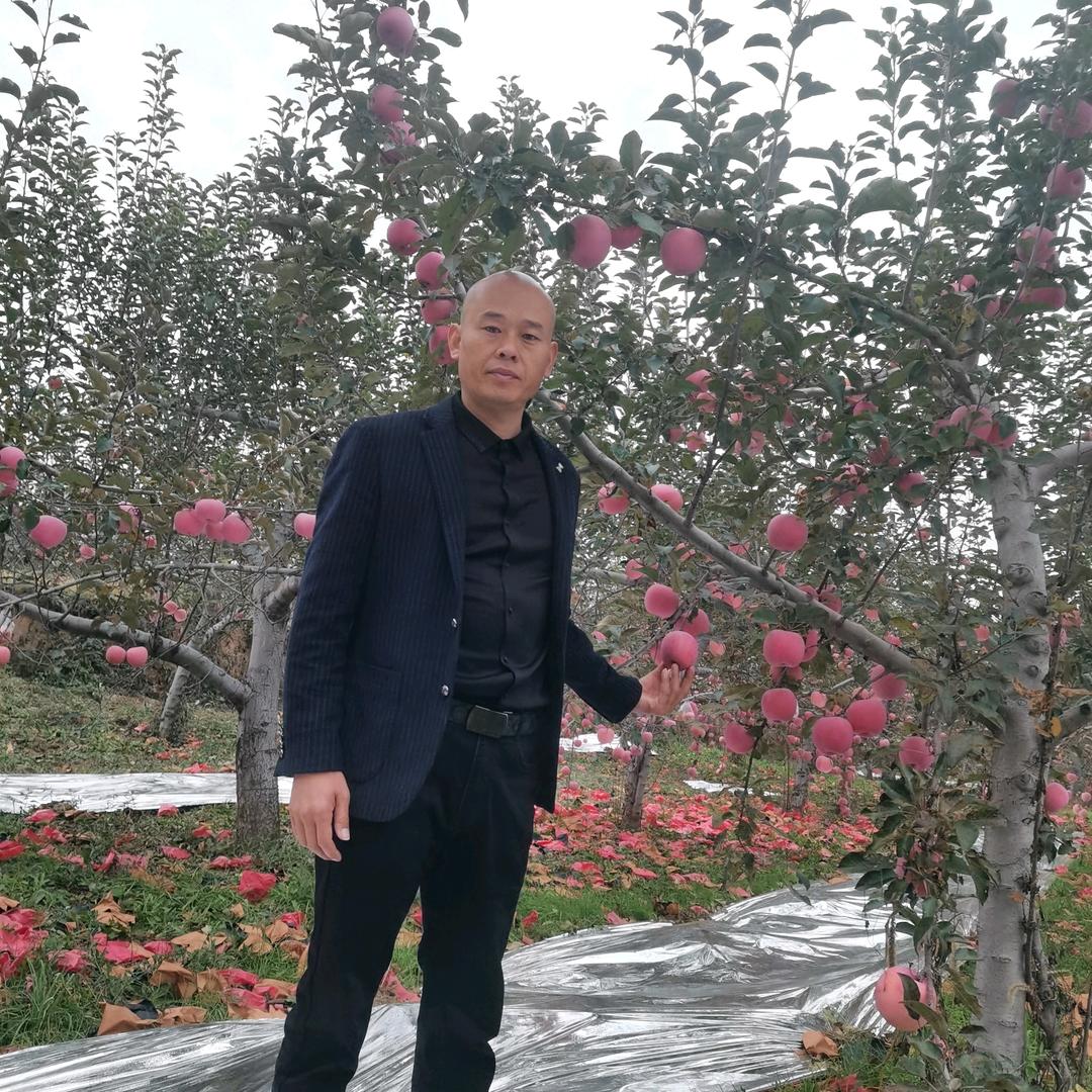 绿桥生鲜
