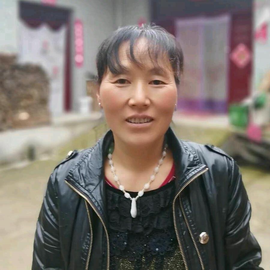 情含一生