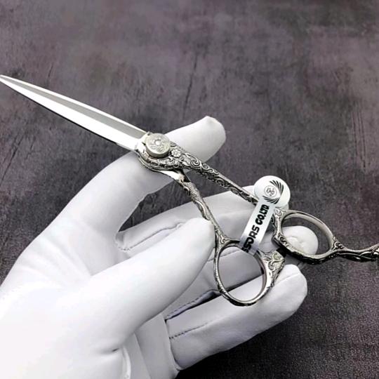 杨善炫彩发型设计