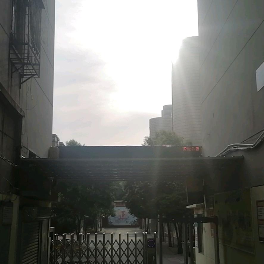 沉迷