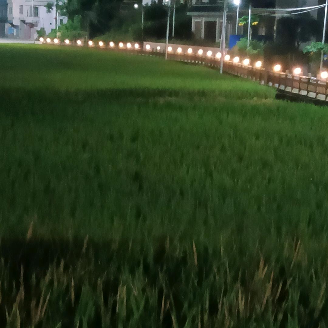 梅州市五华县头像