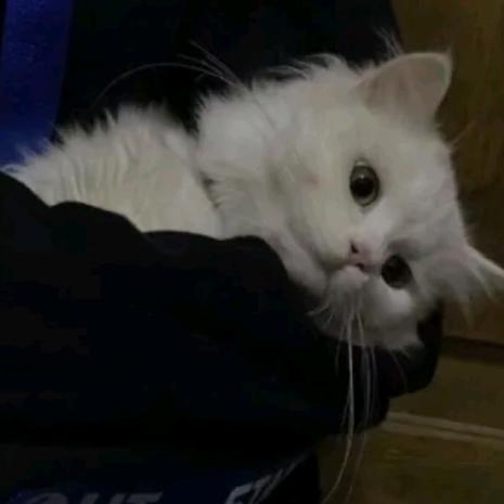 少爷www.
