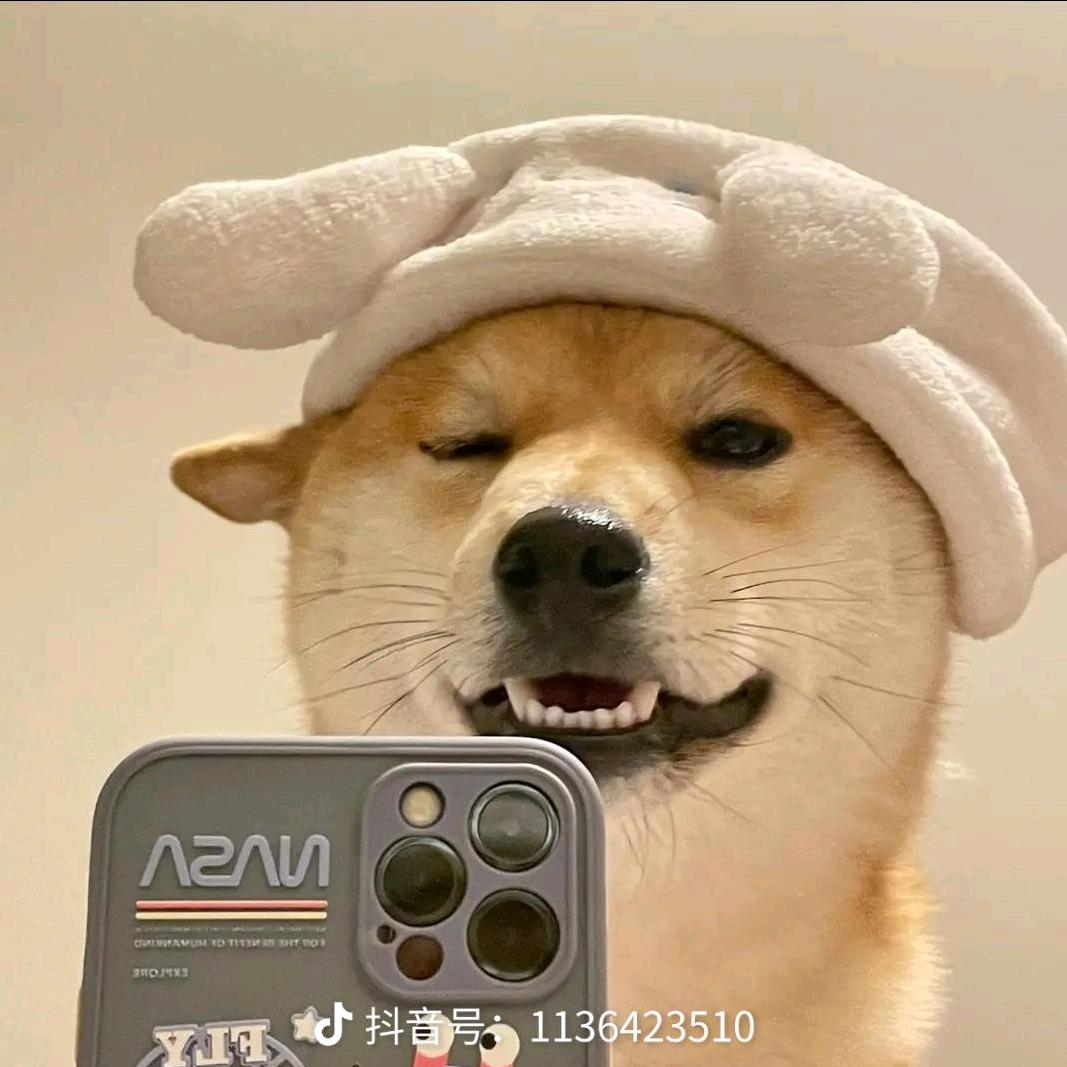 都没困