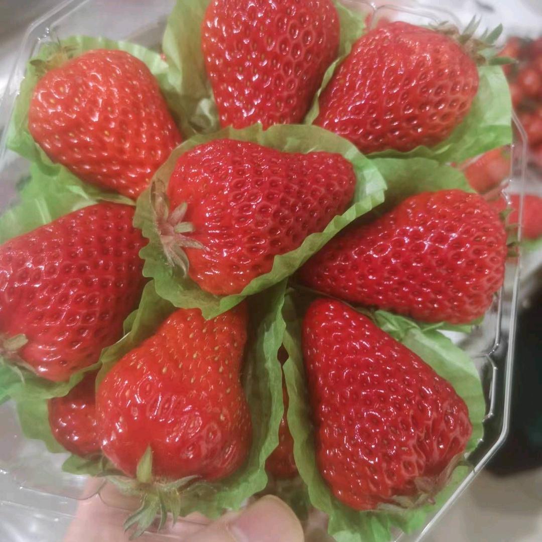 张霞