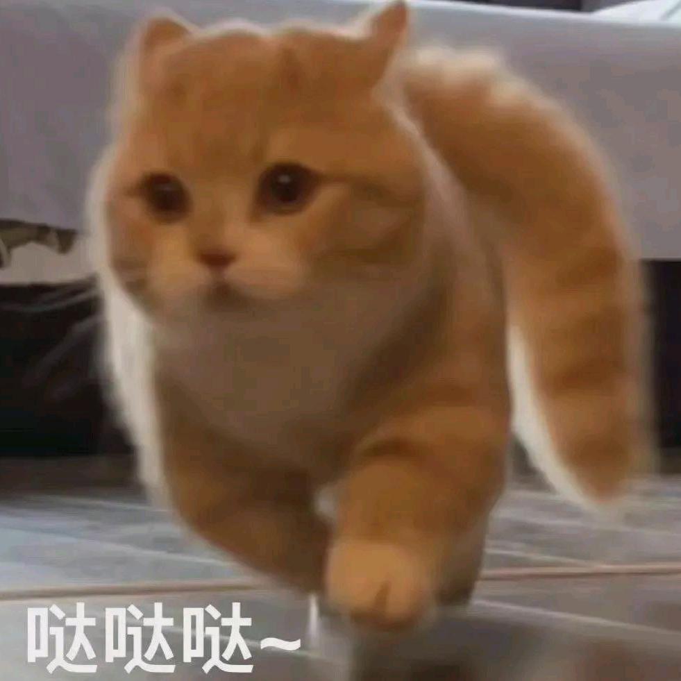 我管啥