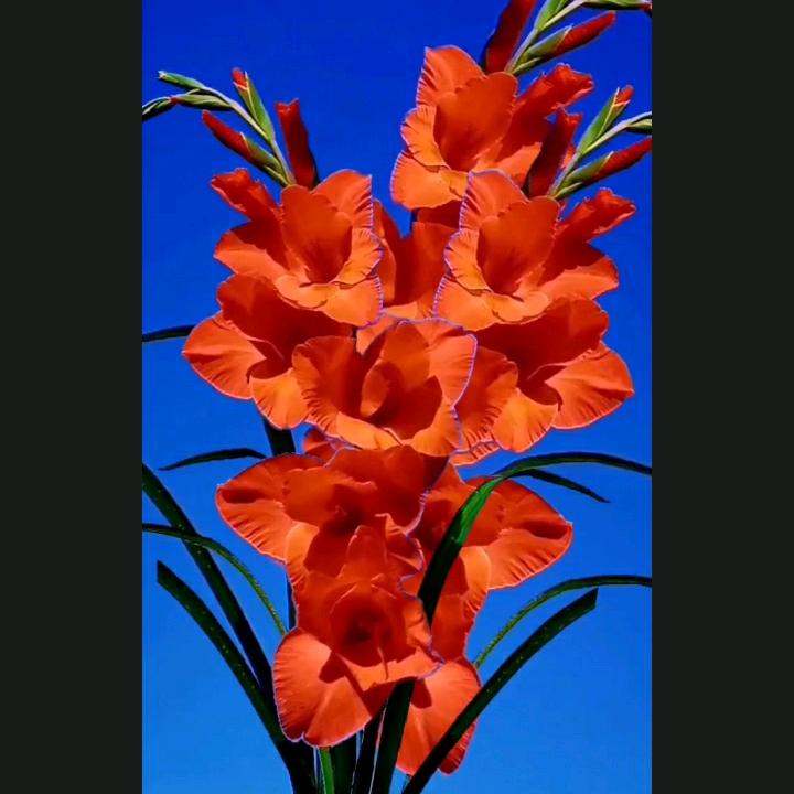 开开心心过一天。