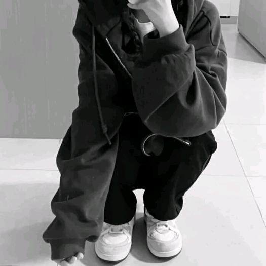 鲨鱼欣