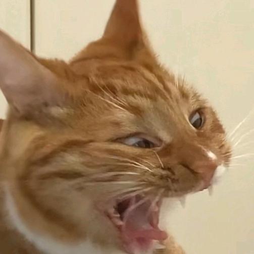 卿瑞