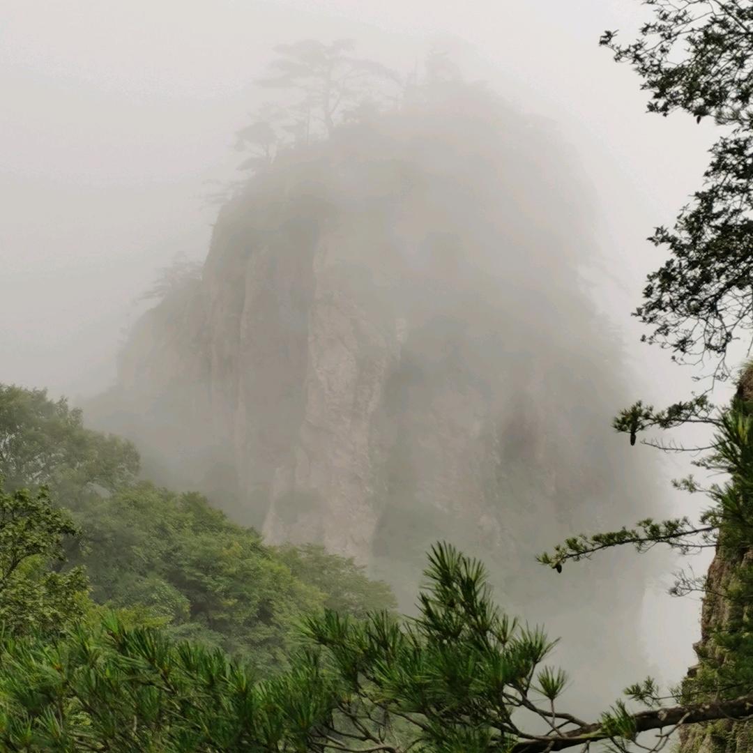 时光静好.李
