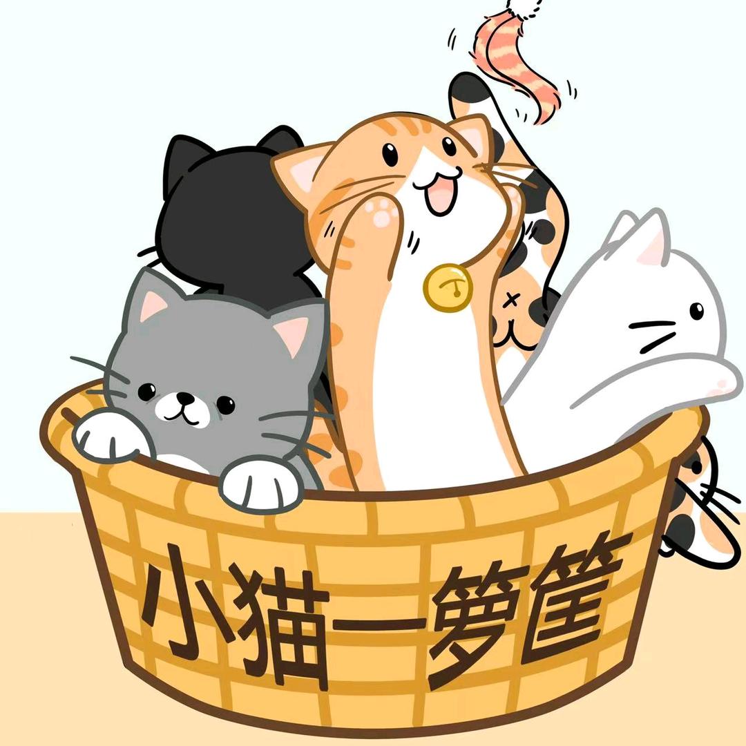 小猫一箩筐