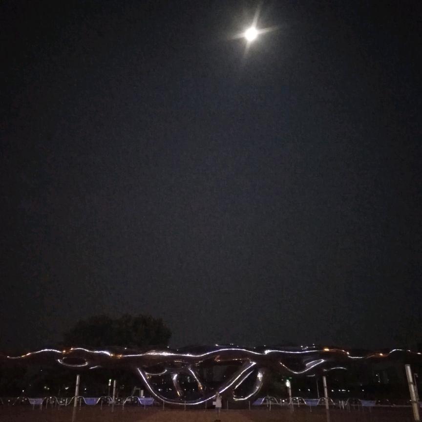 忘    忧   物