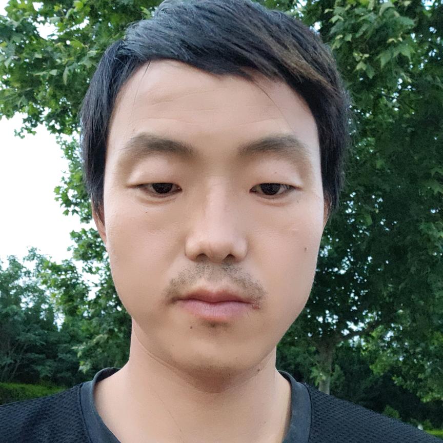 户外小马